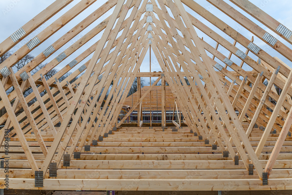 W SHAPED ROOF TRUSSES